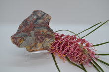Load image into Gallery viewer, Australian Crazy Lace Agate
