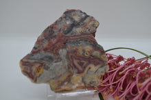 Load image into Gallery viewer, Australian Crazy Lace Agate