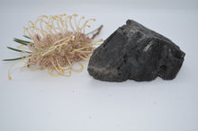 Load image into Gallery viewer, Australian Black Tourmaline