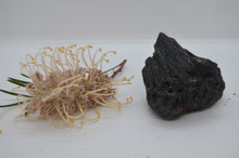 Load image into Gallery viewer, Australian Black Tourmaline